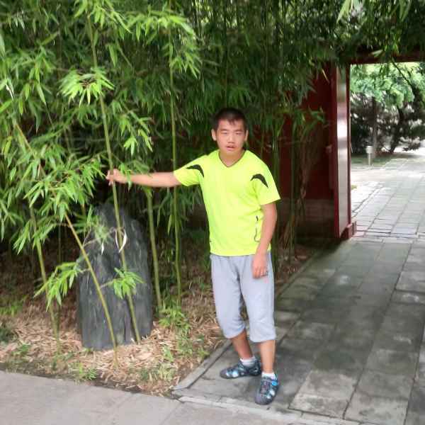 泰安征婚相亲网