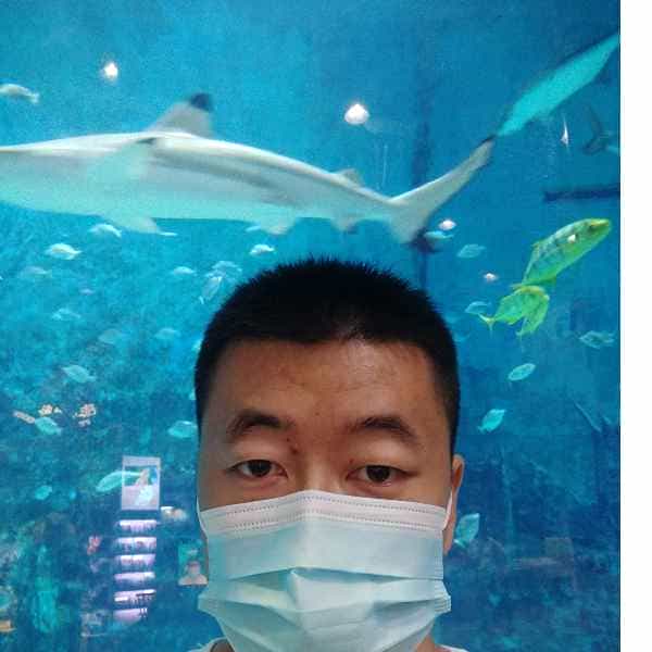 河北34岁单身帅哥真诚找对象-泰安征婚相亲网