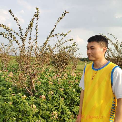 37岁岁广东单身帅哥 - 泰安吉缘网